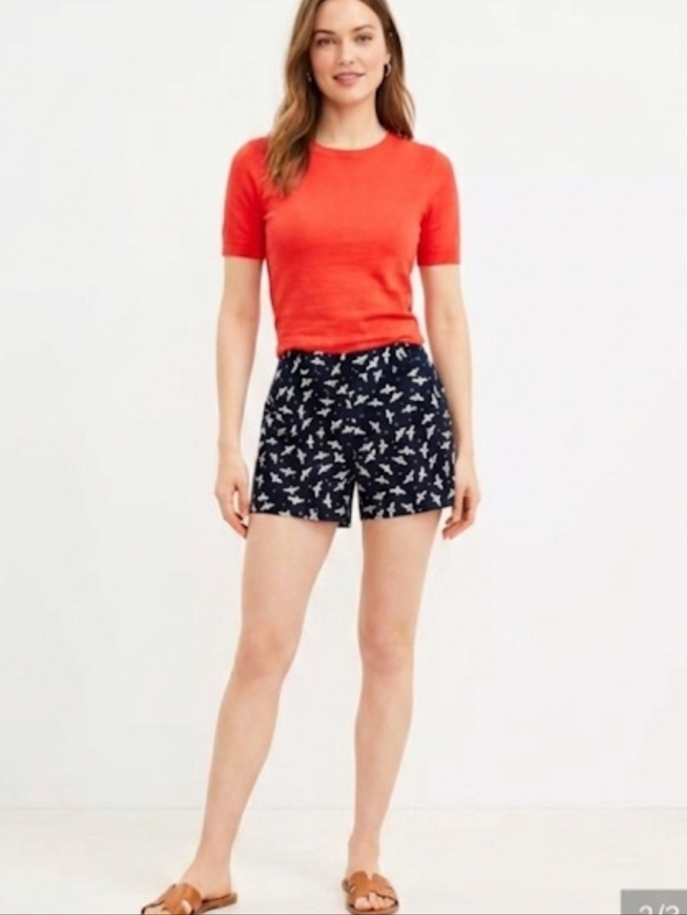LOFT NWT Curvy Riviera Shorts Navy Blue Bee Print Size Size 8